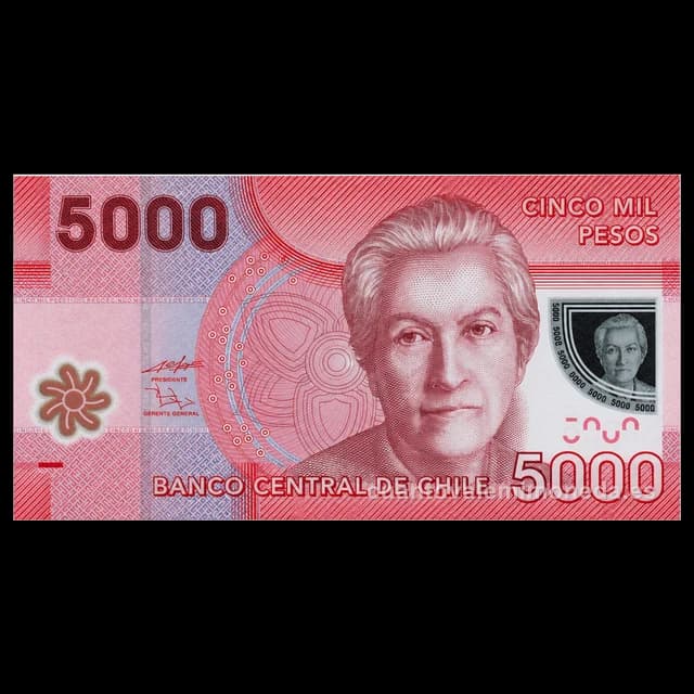 Imagen orientativa: Billete de 5.000 pesos Chile 2009-actualidad de polímero (Gabriela Mistral)