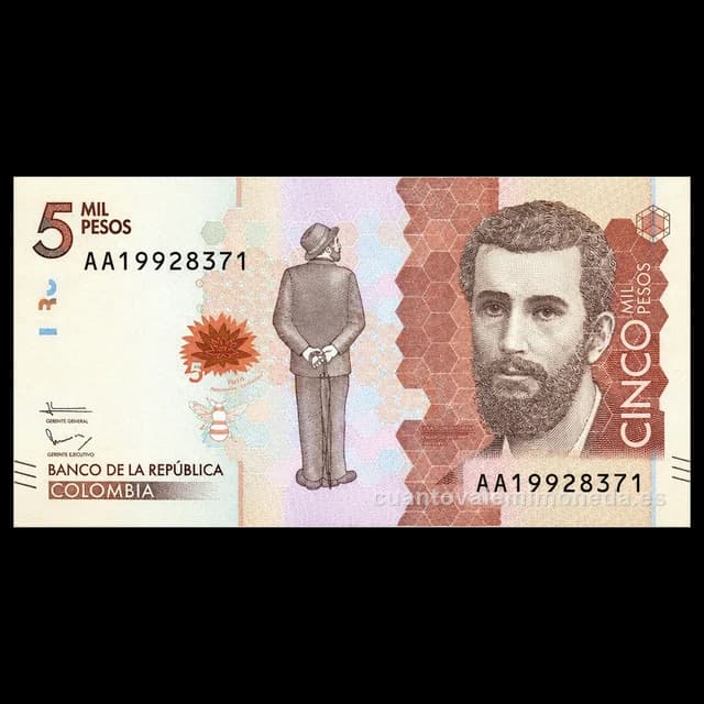 Imagen orientativa: Billete de 5.000 pesos 2016-presente (José Asunción Silva, páramos)