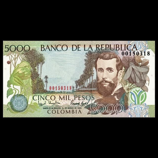 Imagen orientativa: Billete de 5.000 pesos 1995-2015 (José Asunción Silva, «Nocturno»)