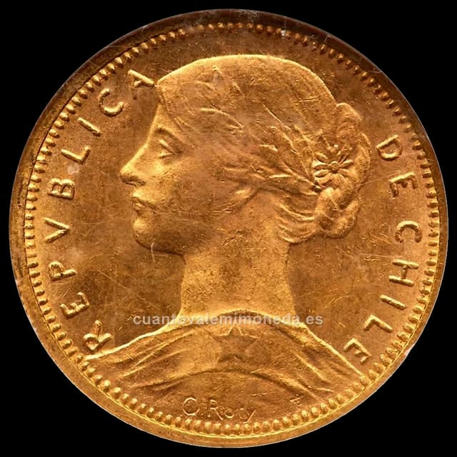 Imagen orientativa: 10 pesos de oro Chile 1895-1901 (cabeza de la Libertad)