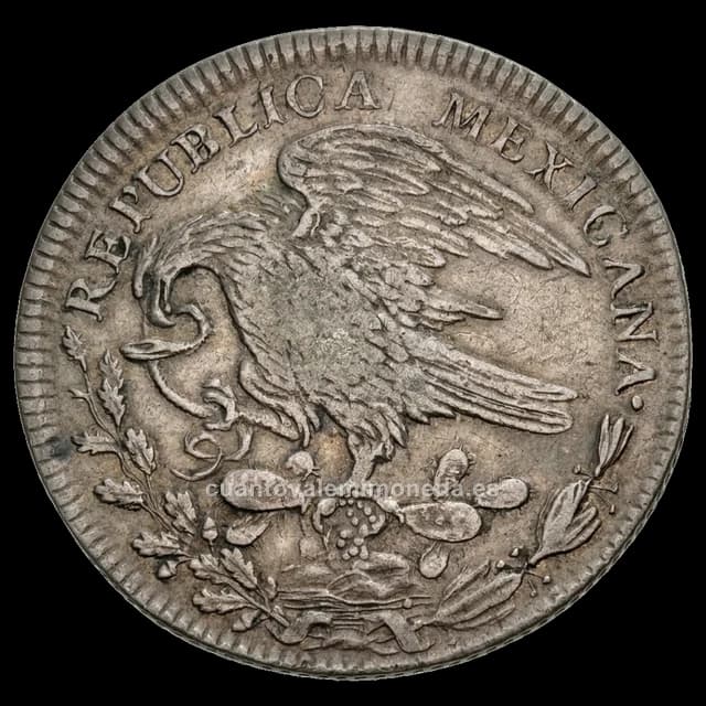Imagen orientativa: 8 reales 1823-1825, águila de perfil «cuello de gancho» (hookneck)